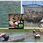 Genuine MS Podcast Episode 6: Reelin’ It In