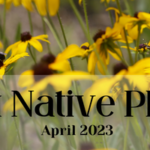 April is Mississippi Native Plant Month