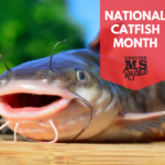 Happy National Catfish Month!