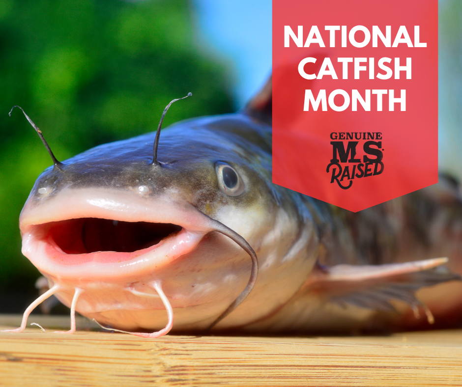 Happy National Catfish Month! - Genuine MississippiGenuine Mississippi