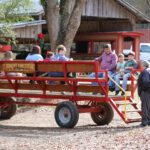 Mississippi’s Booming Agritourism Industry